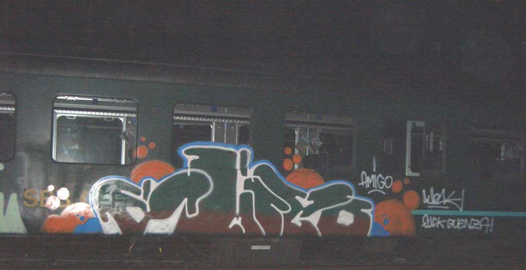 FRIEND SU UN TRENO SVIZZERO